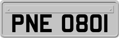 PNE0801