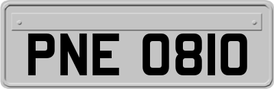 PNE0810
