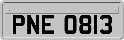 PNE0813