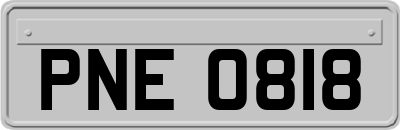 PNE0818