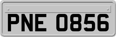 PNE0856