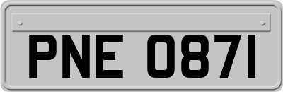 PNE0871