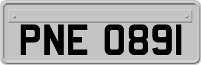 PNE0891
