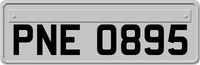 PNE0895