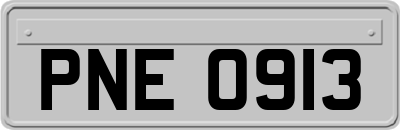 PNE0913