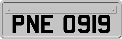 PNE0919