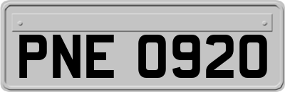 PNE0920