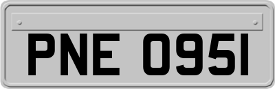 PNE0951