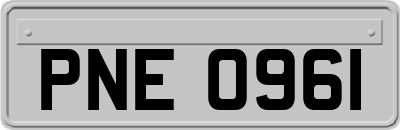 PNE0961