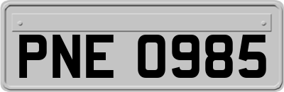 PNE0985