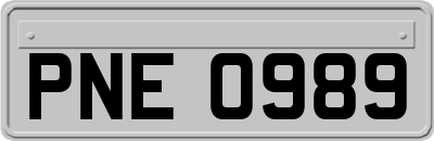 PNE0989