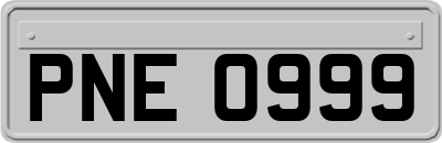 PNE0999