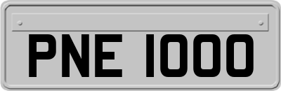 PNE1000