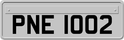 PNE1002