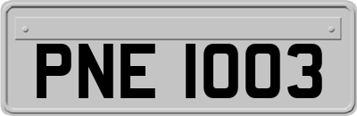 PNE1003