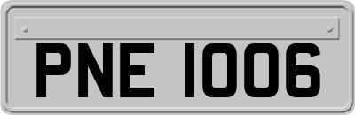 PNE1006