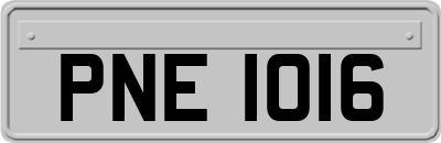 PNE1016