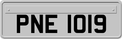PNE1019