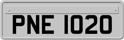 PNE1020