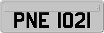 PNE1021
