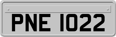 PNE1022