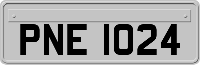 PNE1024