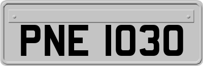 PNE1030