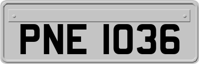 PNE1036