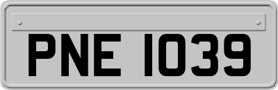 PNE1039