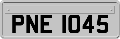 PNE1045