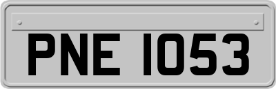 PNE1053