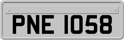 PNE1058