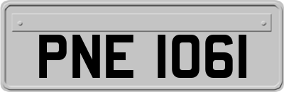 PNE1061