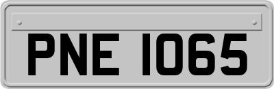 PNE1065