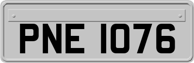 PNE1076