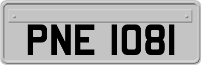PNE1081