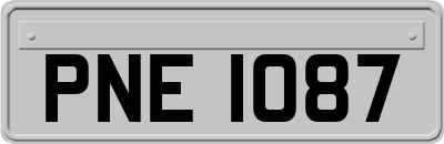 PNE1087