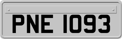 PNE1093