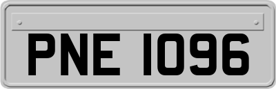 PNE1096