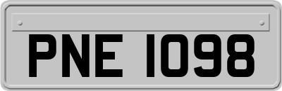 PNE1098