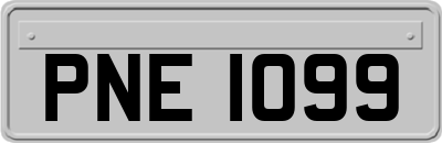 PNE1099