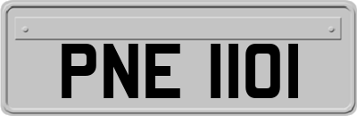 PNE1101