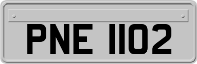PNE1102