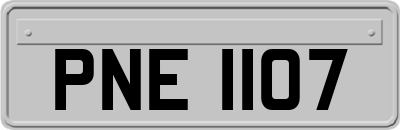 PNE1107