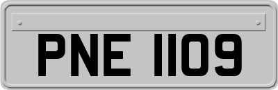 PNE1109