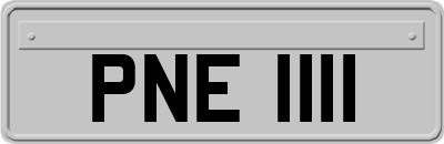 PNE1111