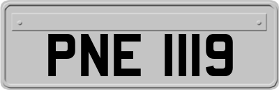 PNE1119