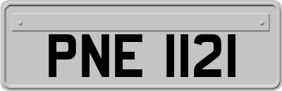 PNE1121