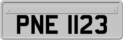 PNE1123