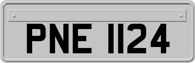 PNE1124